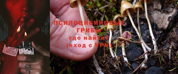 дживик Липки
